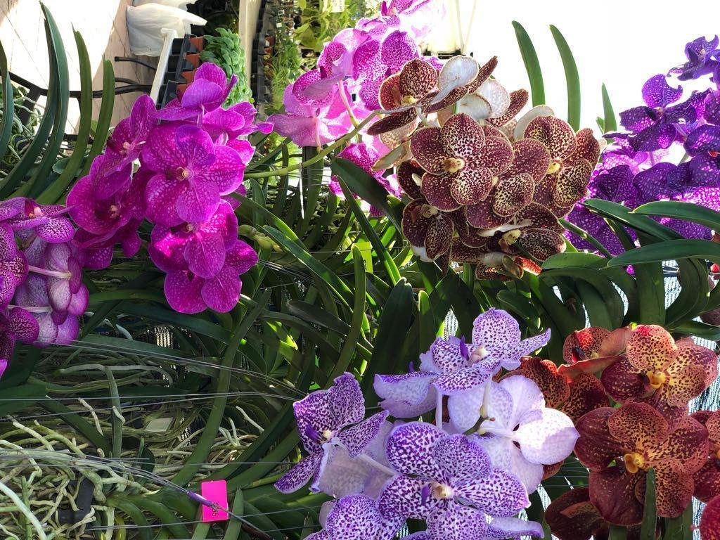 RIVERWALK - Residential