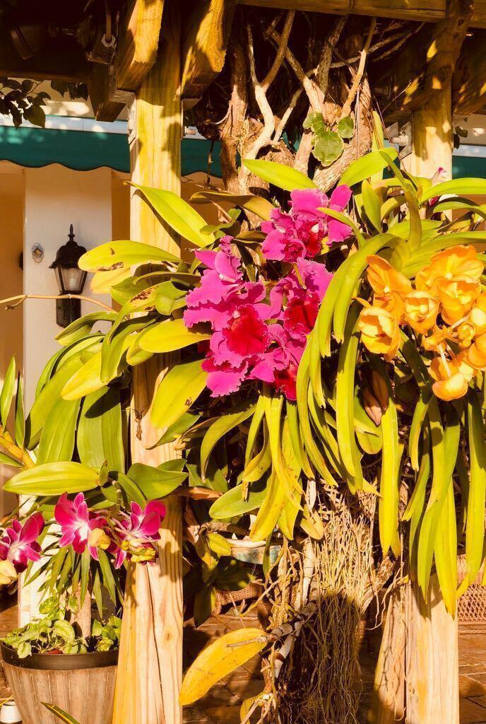 RIVERWALK - Residential