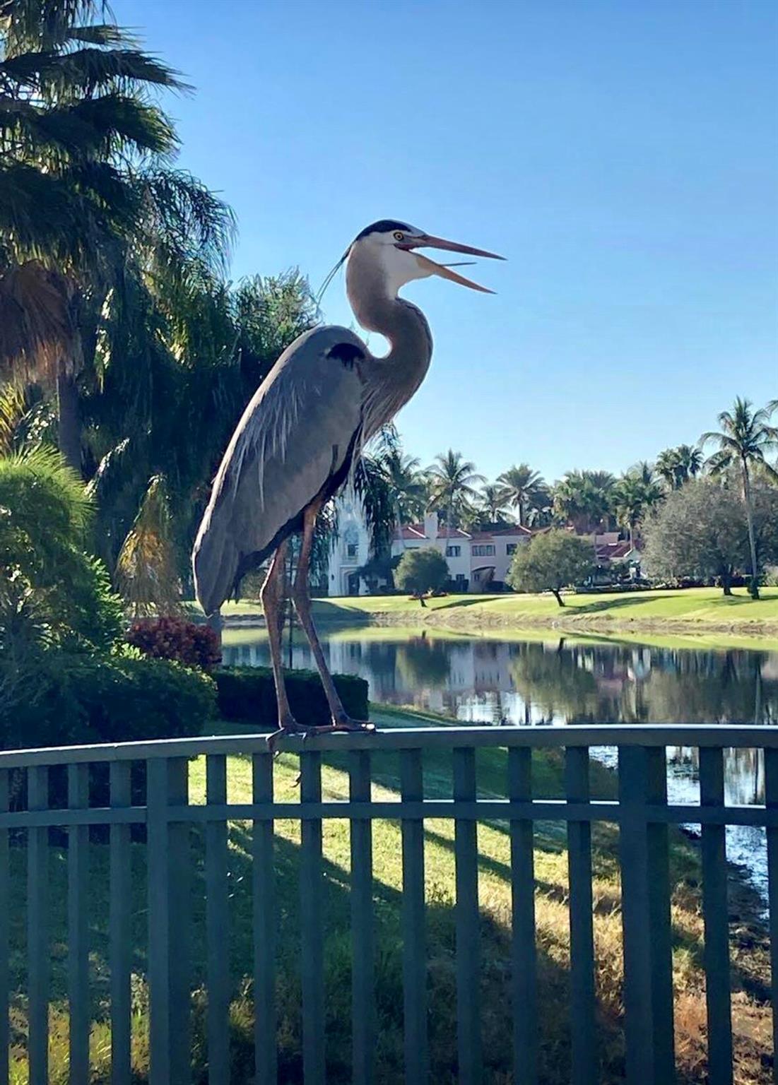 RIVERWALK - Residential