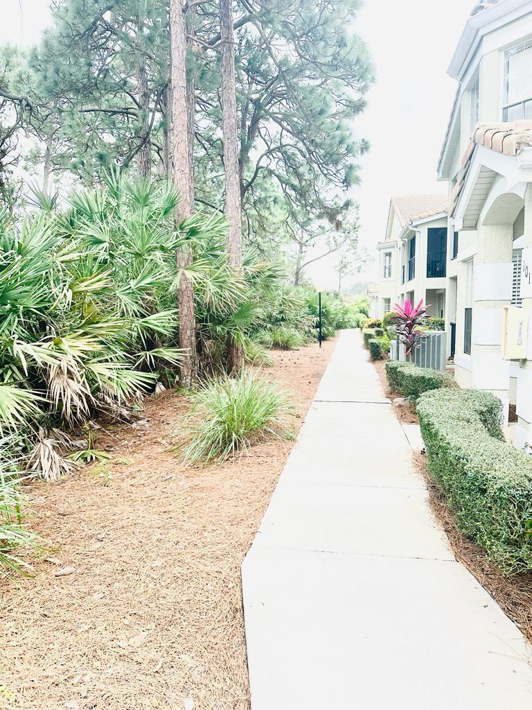 THE BELMONT II AT ST LUCI - Residential Lease