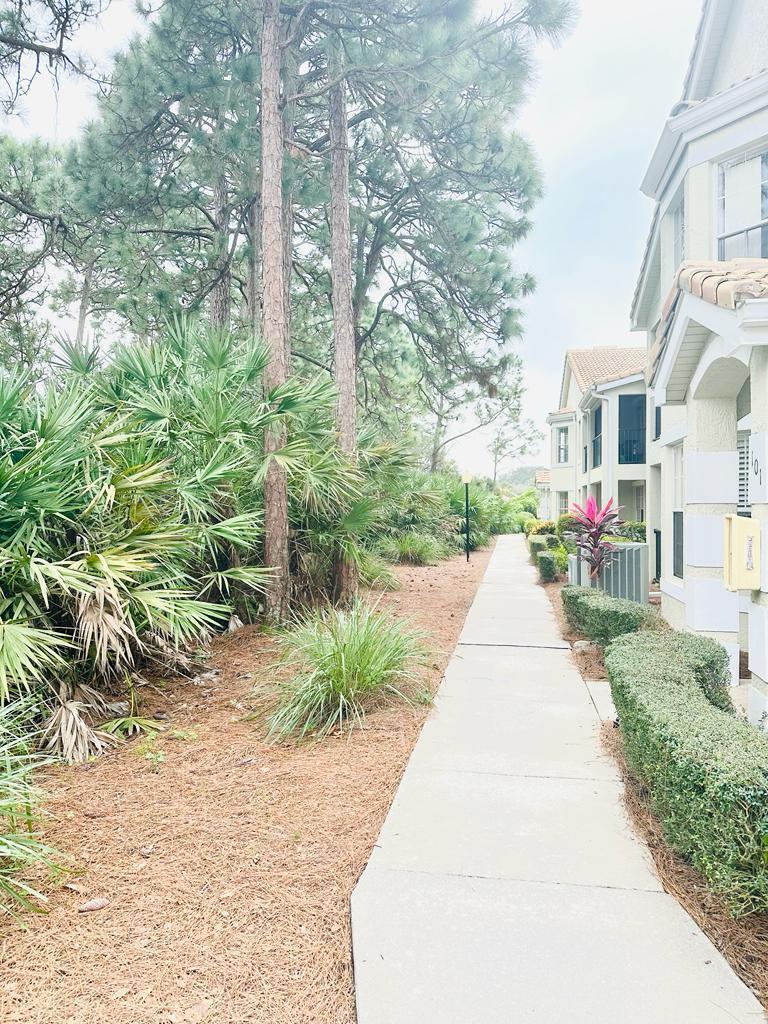 THE BELMONT II AT ST LUCI - Residential Lease