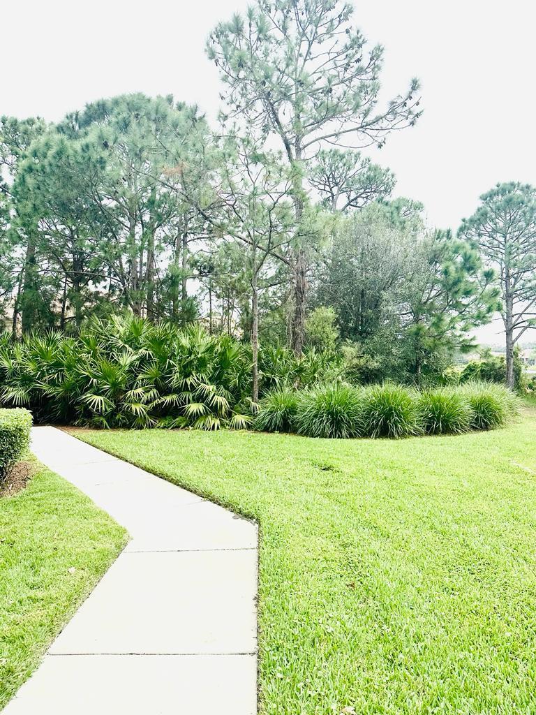 THE BELMONT II AT ST LUCI - Residential Lease