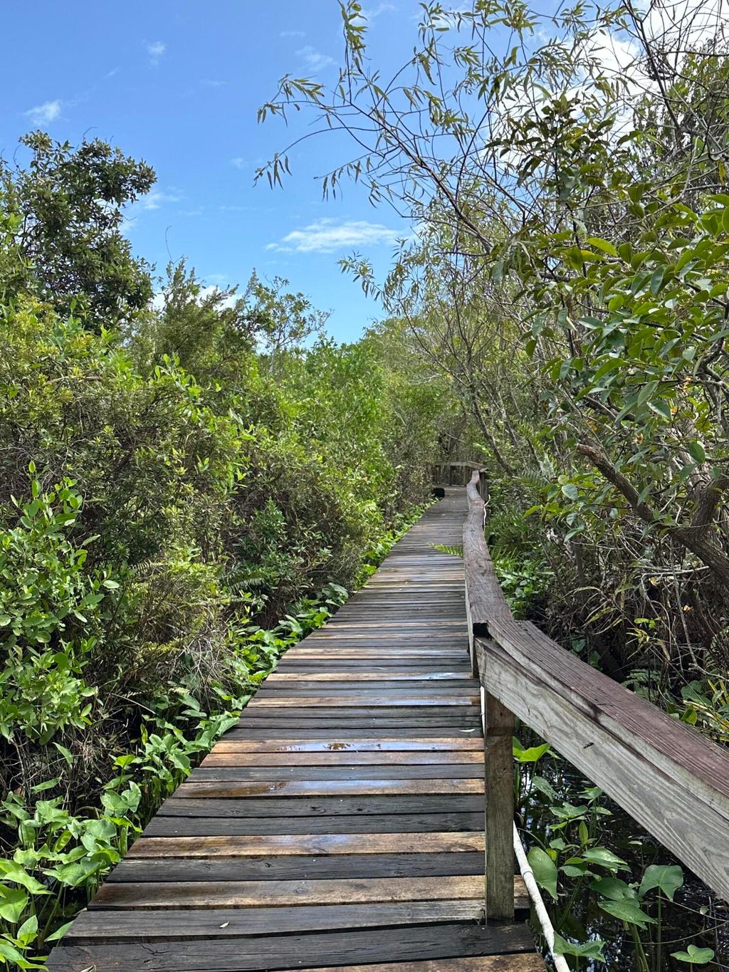 Photo of 6186 SE Riverboat Drive #935, Stuart, FL 34997 (MLS # R11031093)