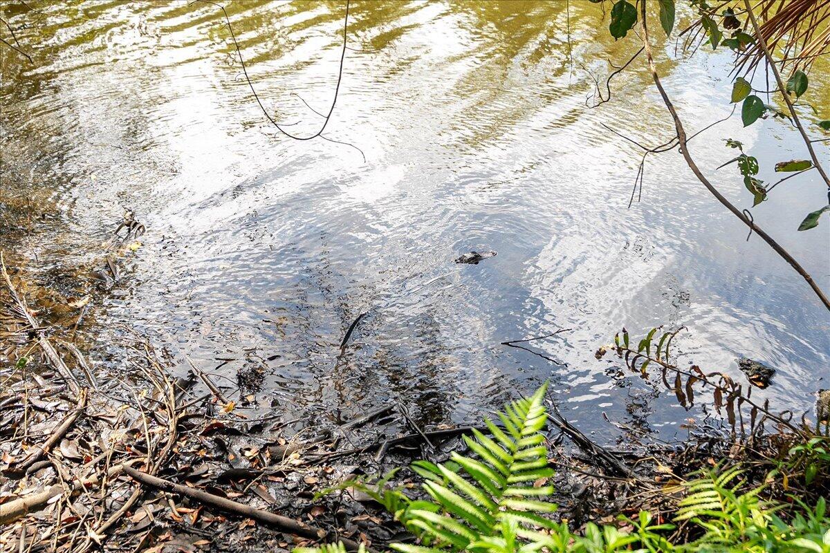 TOMLINSON'S UNRECORDED PLAT - Residential