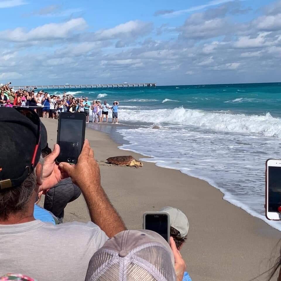 SEA COLONY CONDO - Residential