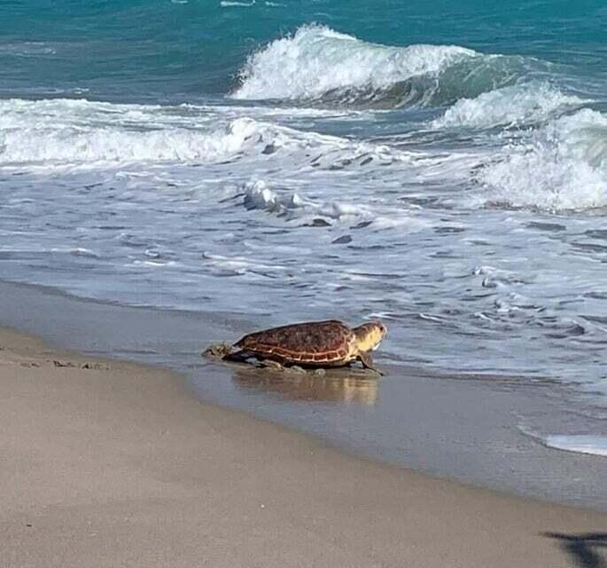 SEA COLONY CONDO - Residential