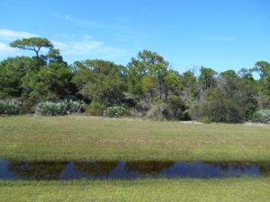 JUPITER ACRES - Residential