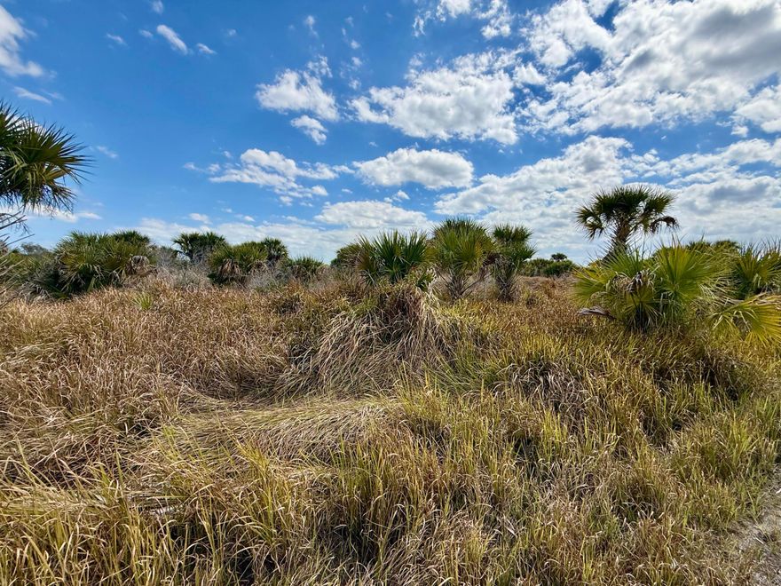 Build your dream home on this 0.23-acre residential lot located in the heart of Palm Bay, FL! This lot offers a fantastic opportunity for homeowners and investors alike. With new homes being built in the area, this location is ideal for those seeking a peaceful suburban setting while staying close to all that Palm Bay has to offer. Don't miss this chance to secure your piece of Florida paradise, drive by and see it today! Multiple lots available.