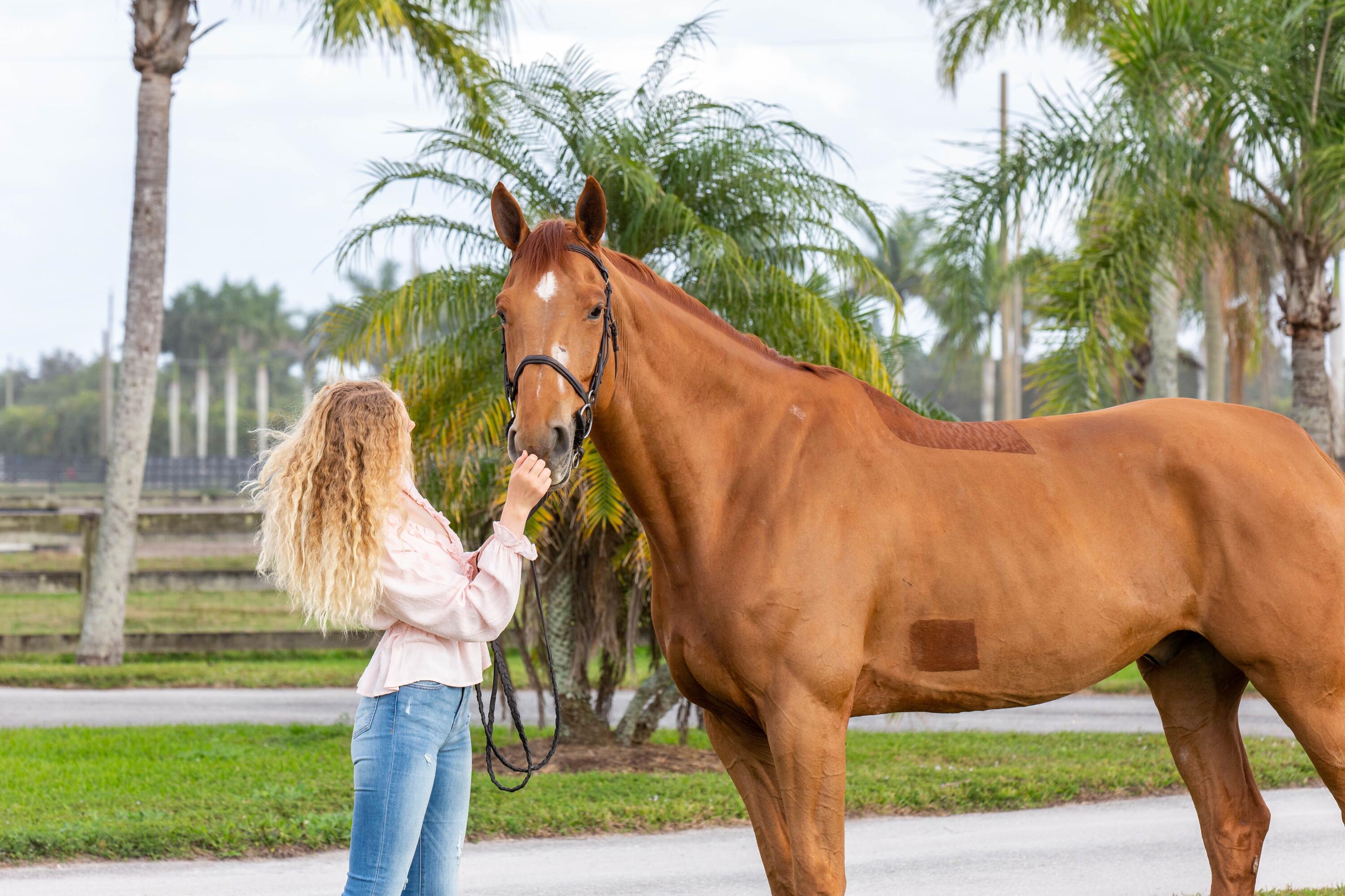 Rustic Ranches - Residential