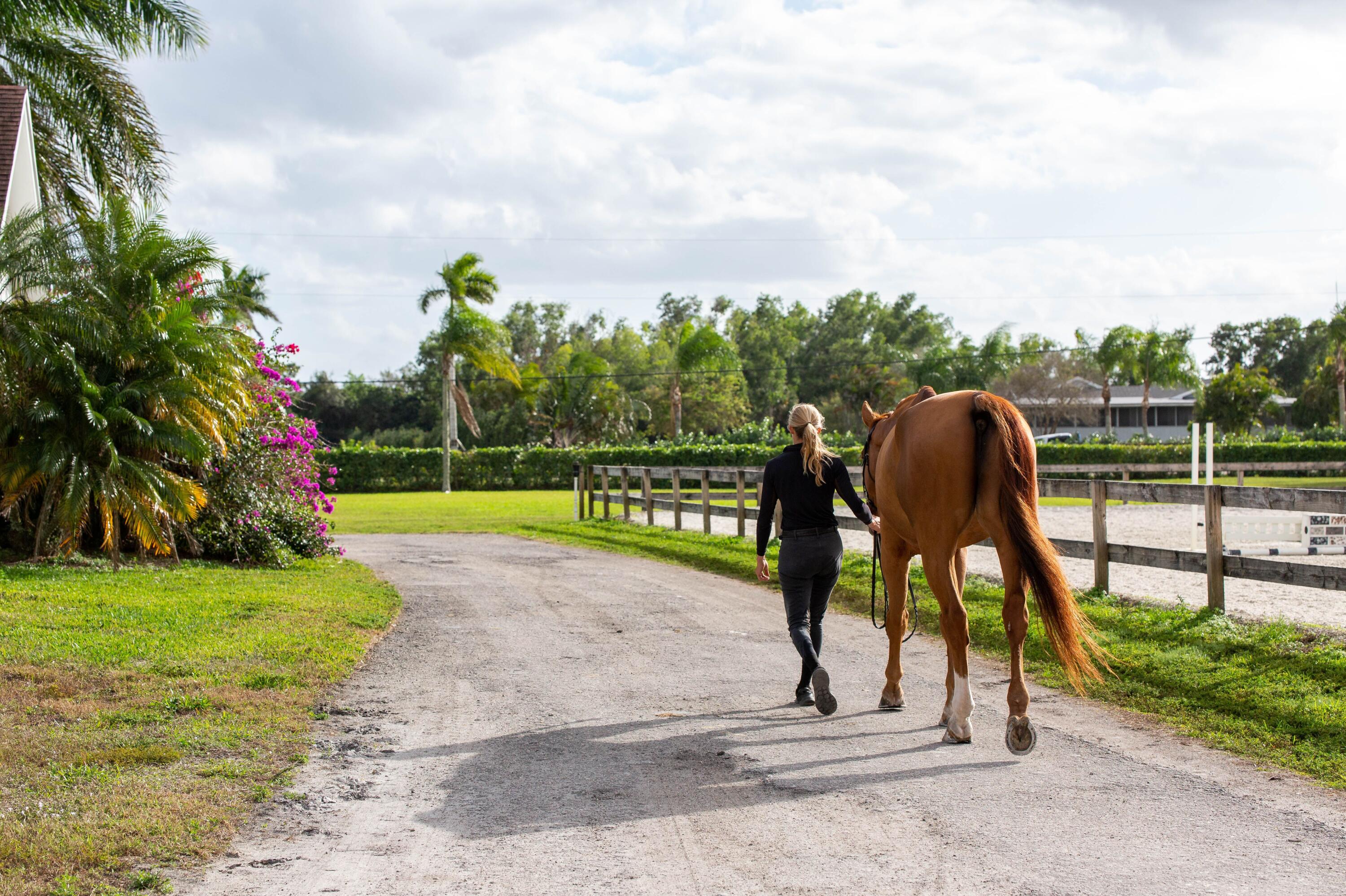Rustic Ranches - Residential