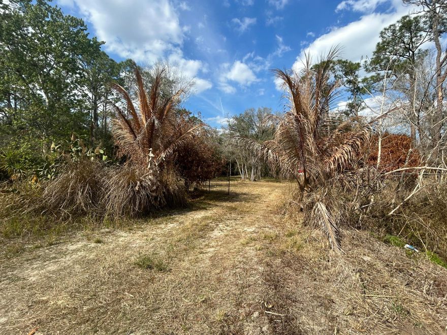 Welcome to your personal sanctuary, where you can create your dream home amid stunning oak trees that encircle the property. Enjoy the presence of fruit trees and a gentle creek.