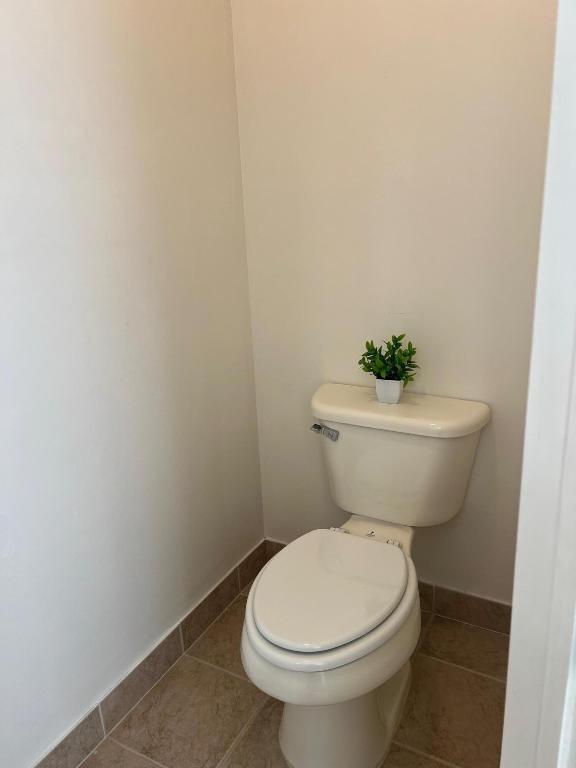 VERONA PALMS - Residential