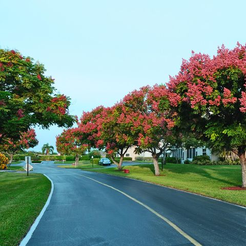 A home in Lake Worth