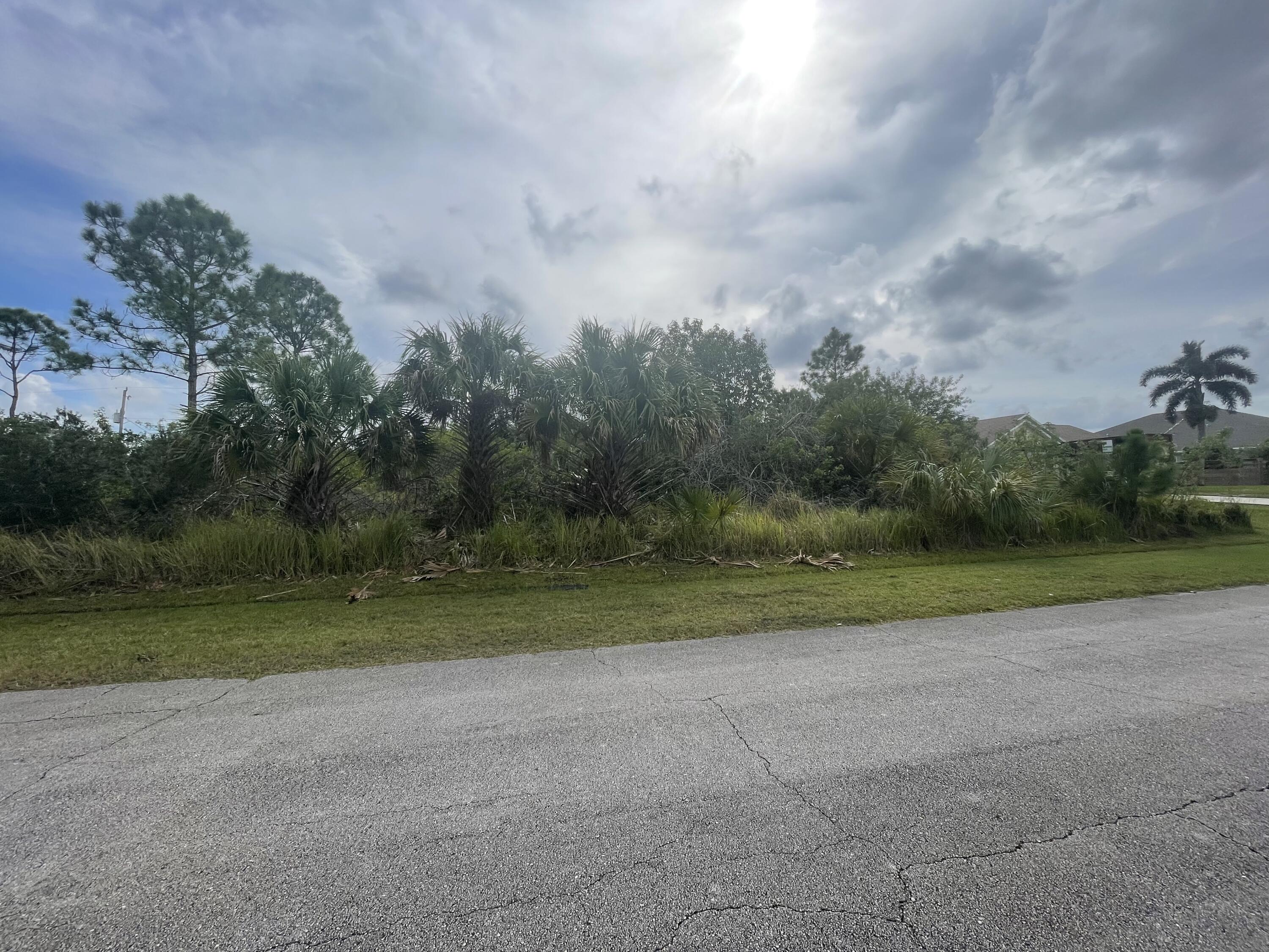 BUILD YOUR DREAM HOME ON THIS LOVELY 0.25 ACRE LOT IN PORT ST LUCIE. CLOSE TO GAITLIN BLVD AND CROSSTOWN PARKWAY, I-95 AND LOTS OF SHOPS AND RESTAURANTS. LOT NEXT DOOR IS FOR SALE ALSO FOR $100,000 SO YOU CAN HAVE HALF AN ACRE, IF YOU WISH.***RX-10846256***