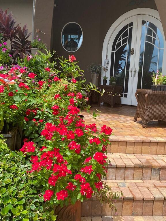 Rigels Cove - Residential