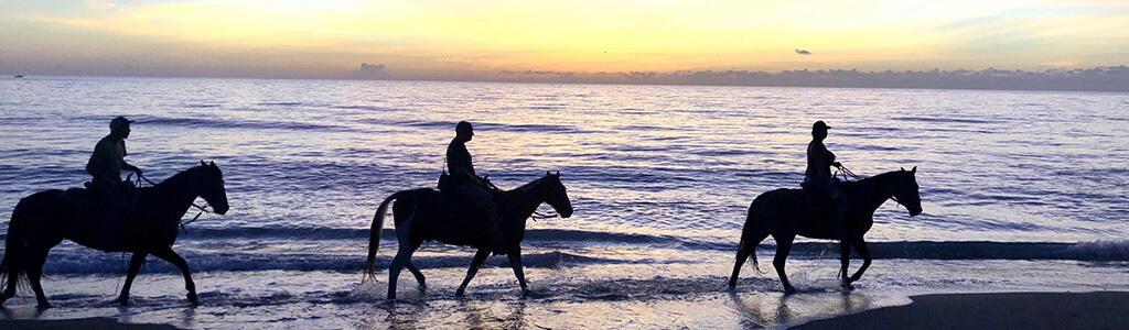 Rigels Cove - Residential