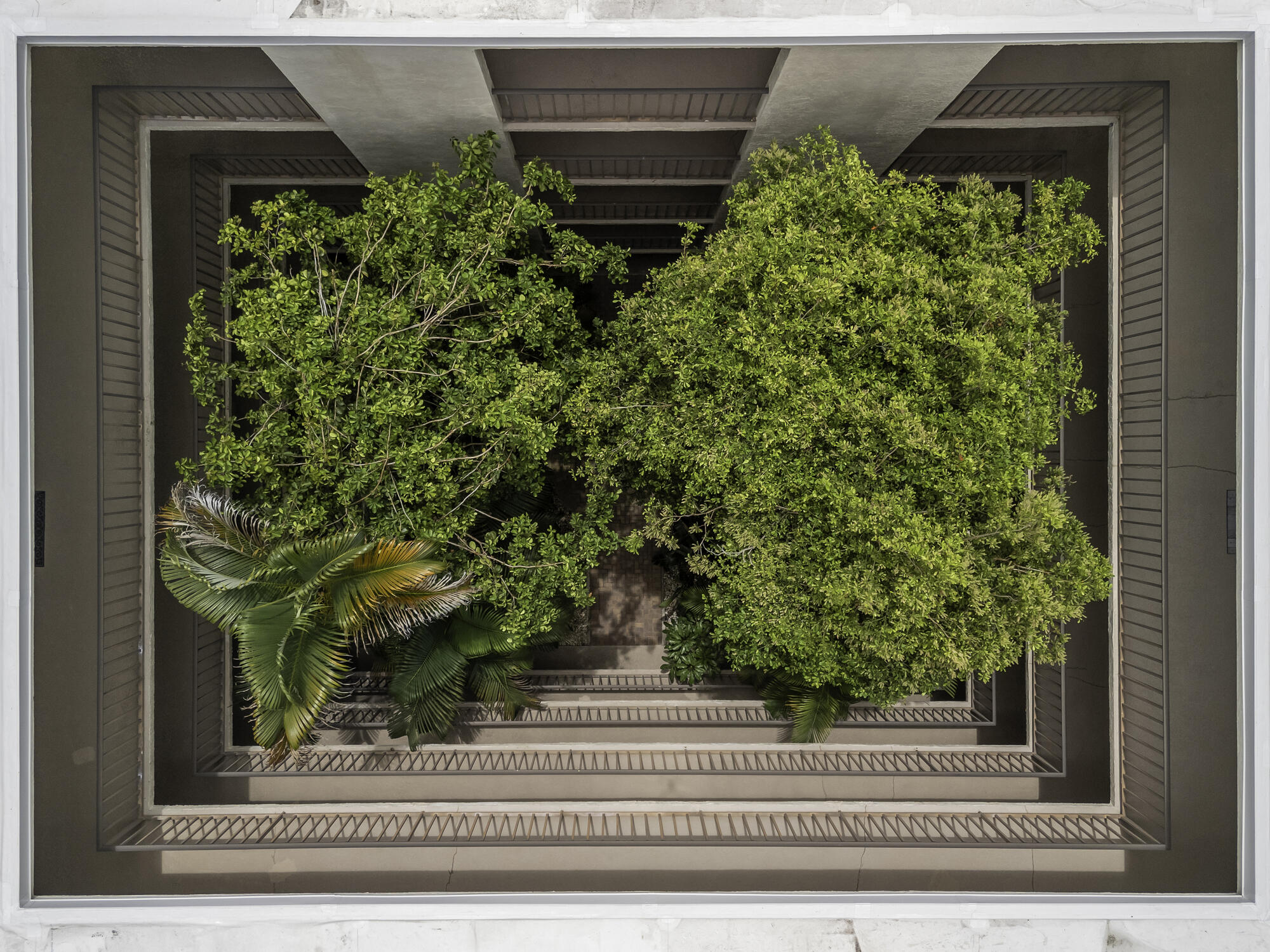 HIDDEN BANYAN CONDO - Residential