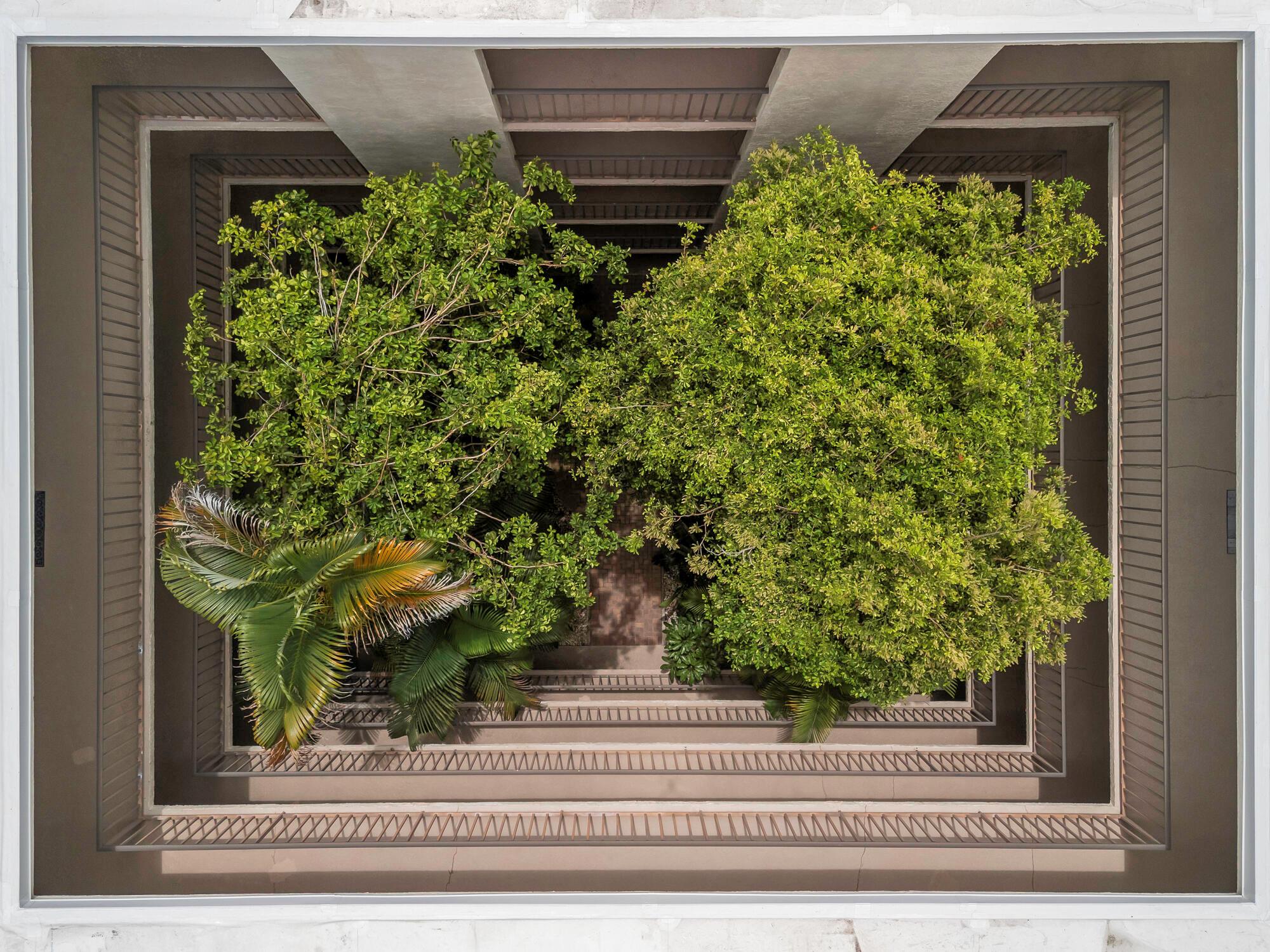 HIDDEN BANYAN CONDO - Residential