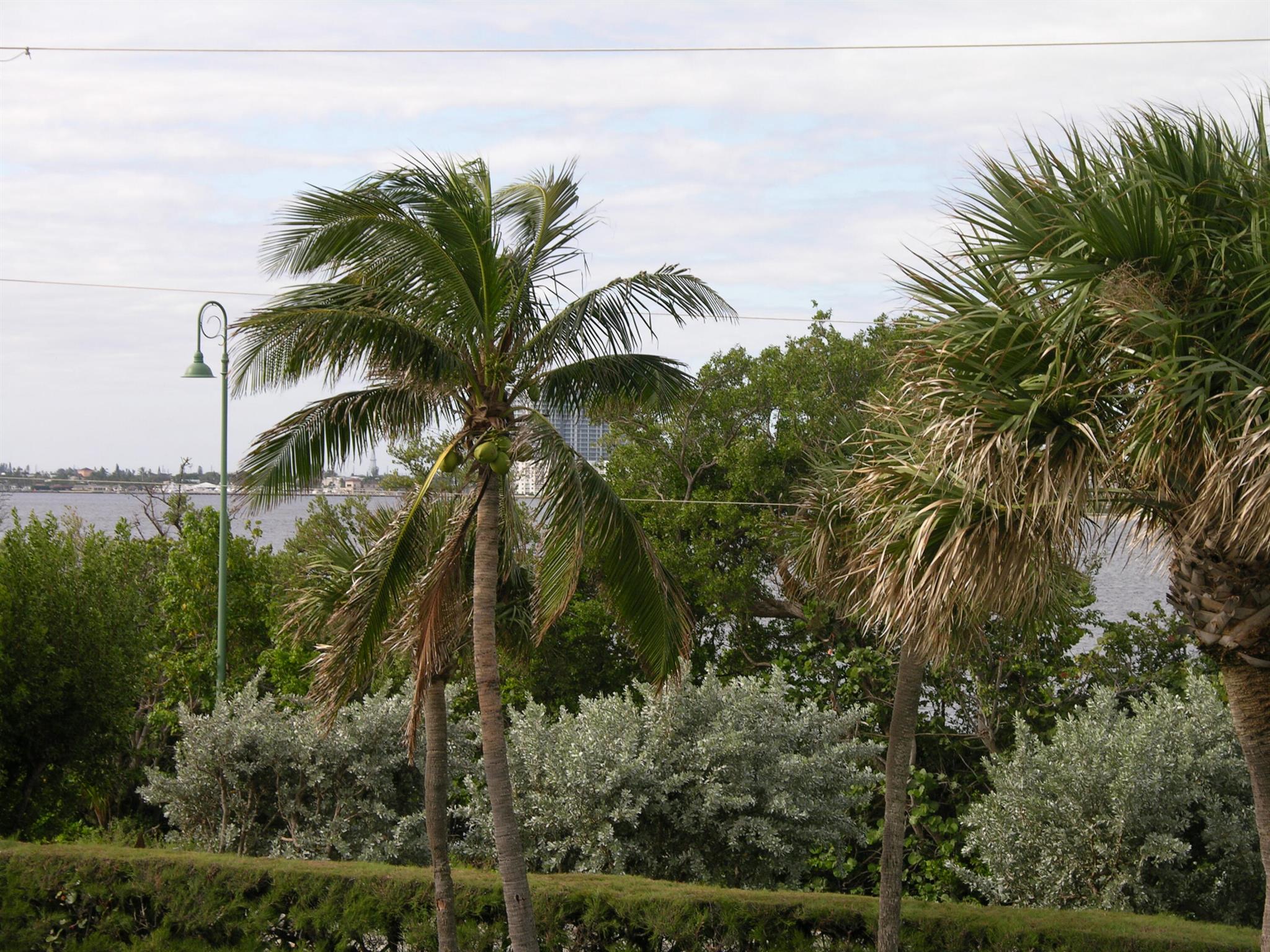 WATER GLADES CONDO - Residential
