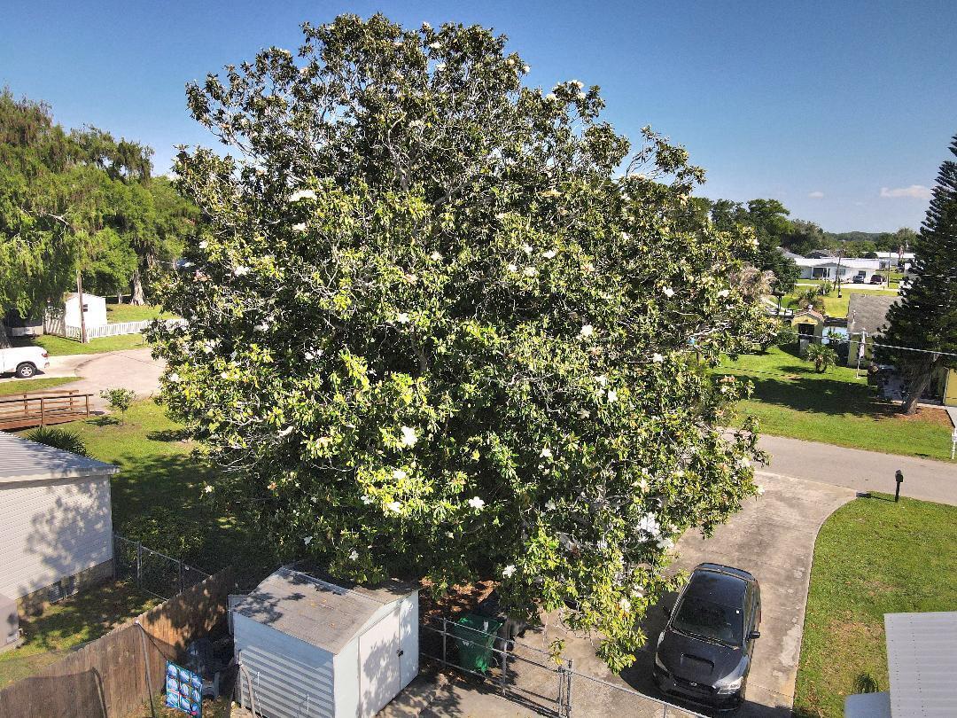 TREASURE ISLAND UNIT 8 - Residential