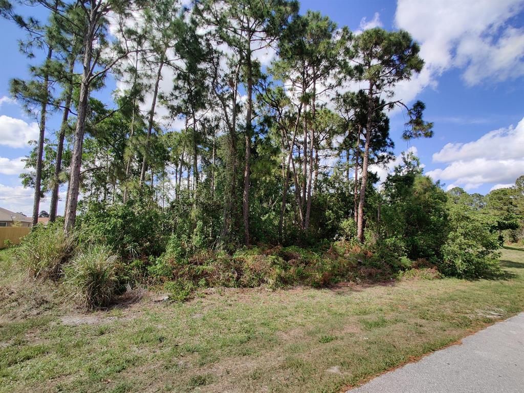 Photo of 1311 SW Kapok Avenue, Port Saint Lucie, FL 34953 (MLS # R10712233)