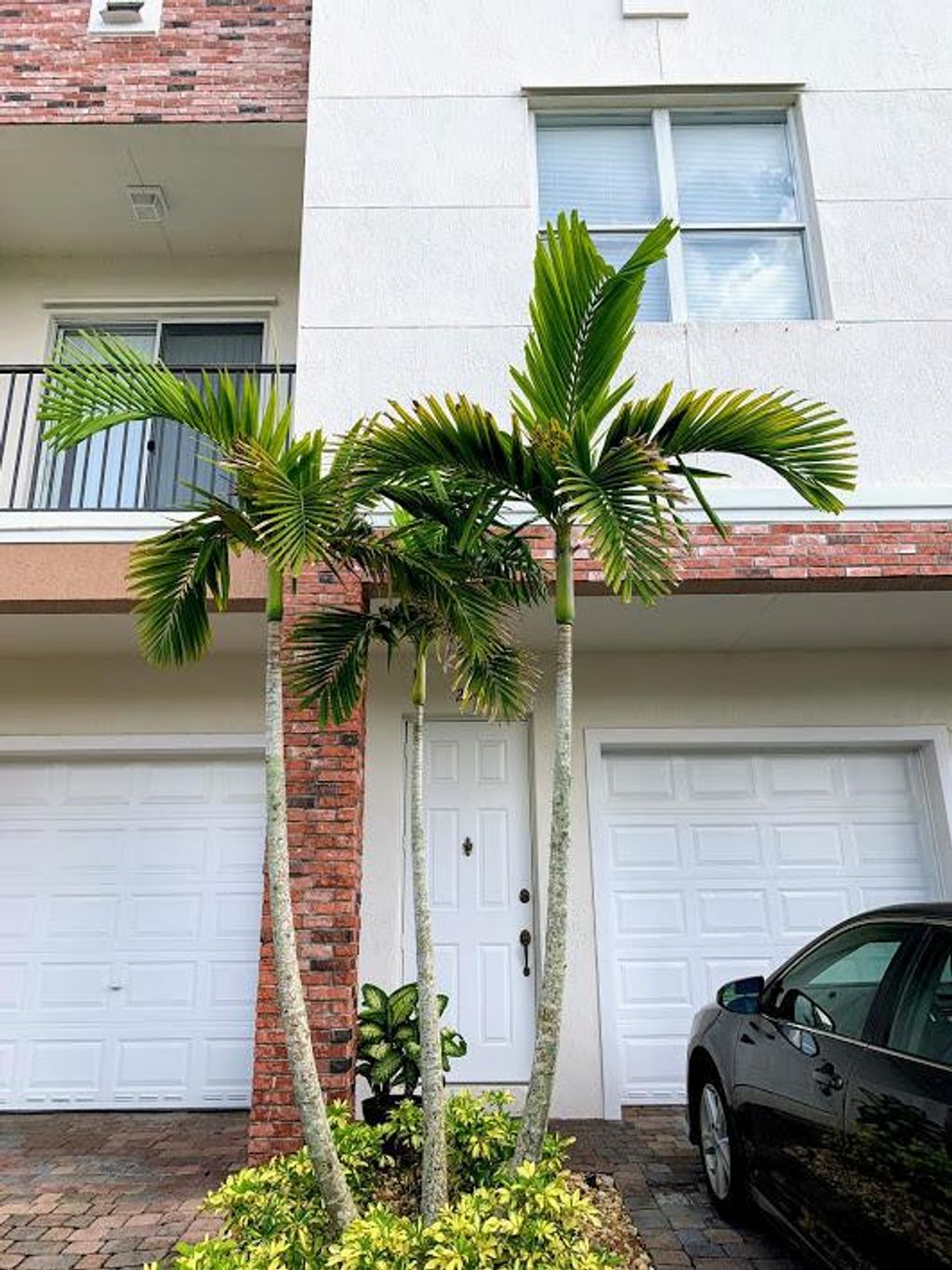 Photo of 10480 SW Stephanie Way #3-204, Port Saint Lucie, FL 34987 (MLS # R10725575)