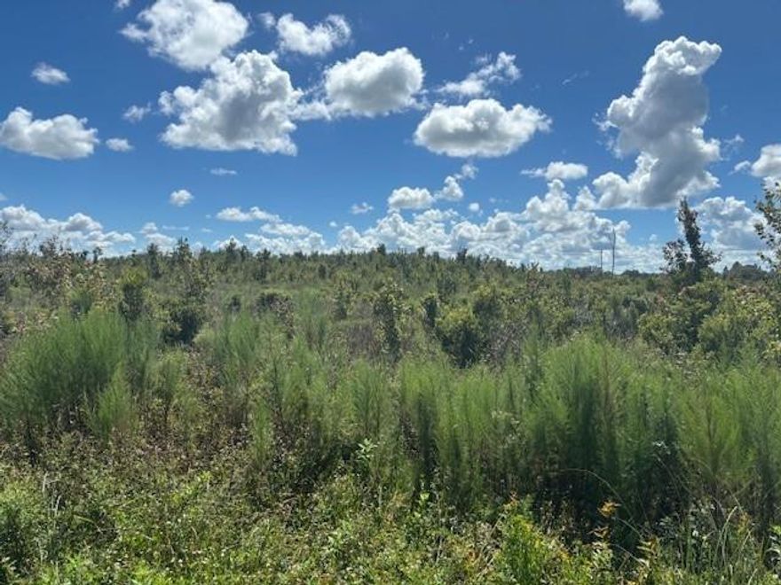 Nicely priced recreational lot in the Prairie. Seasonally wet. Good hunting/camping/shooting spot. Owner financing with only $1,500 down