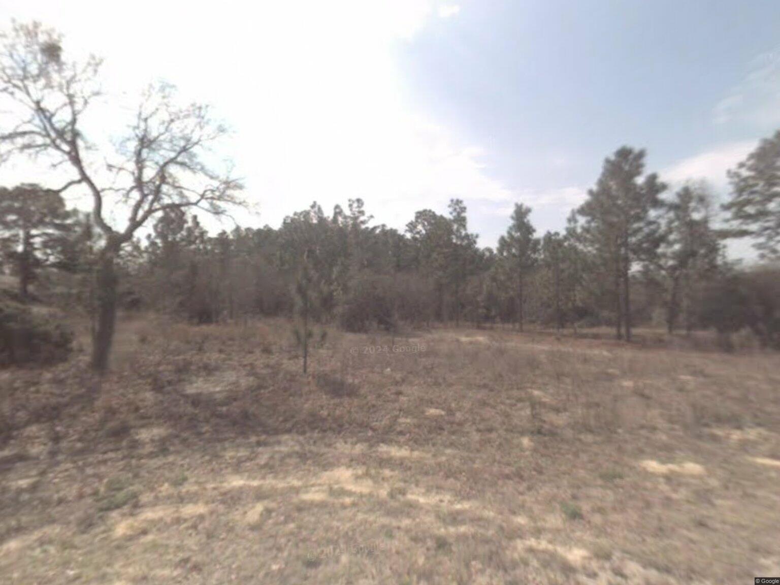 CITRUS SPRINGS UNIT 22 - Land