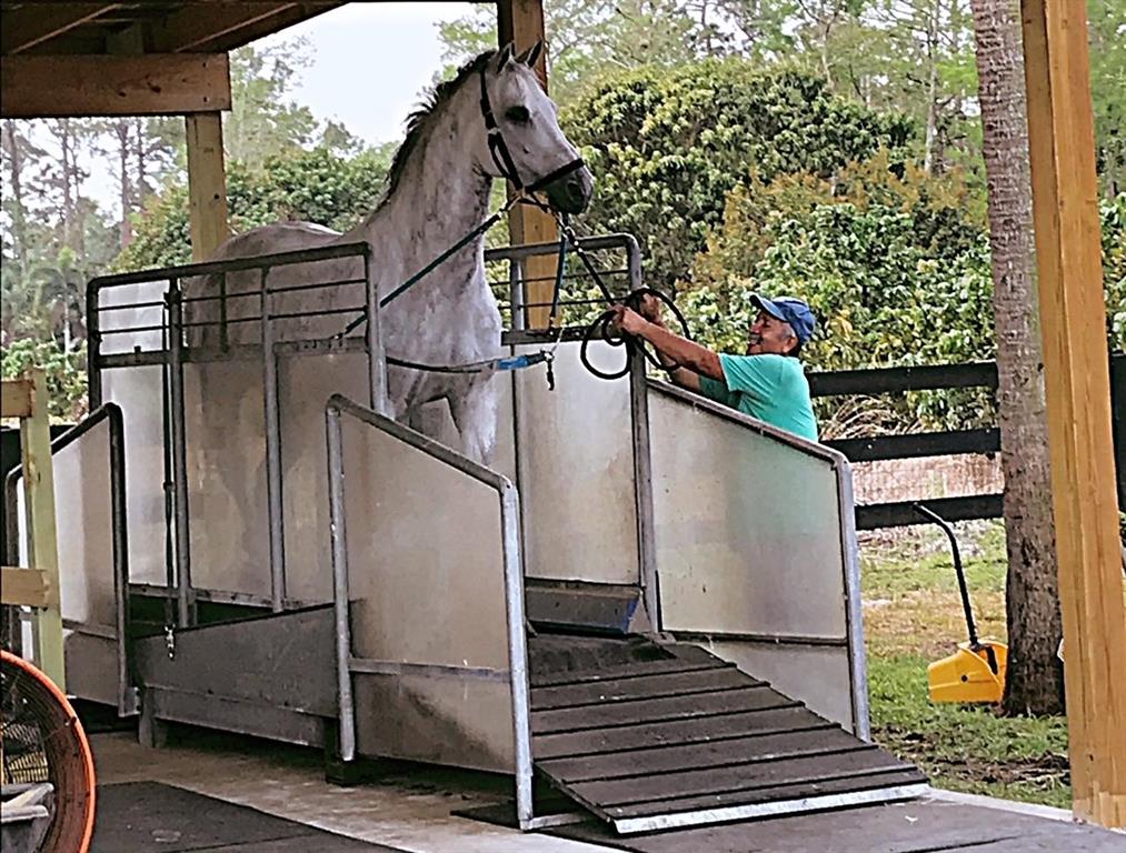 LOXAHATCHEE GROVES - Residential
