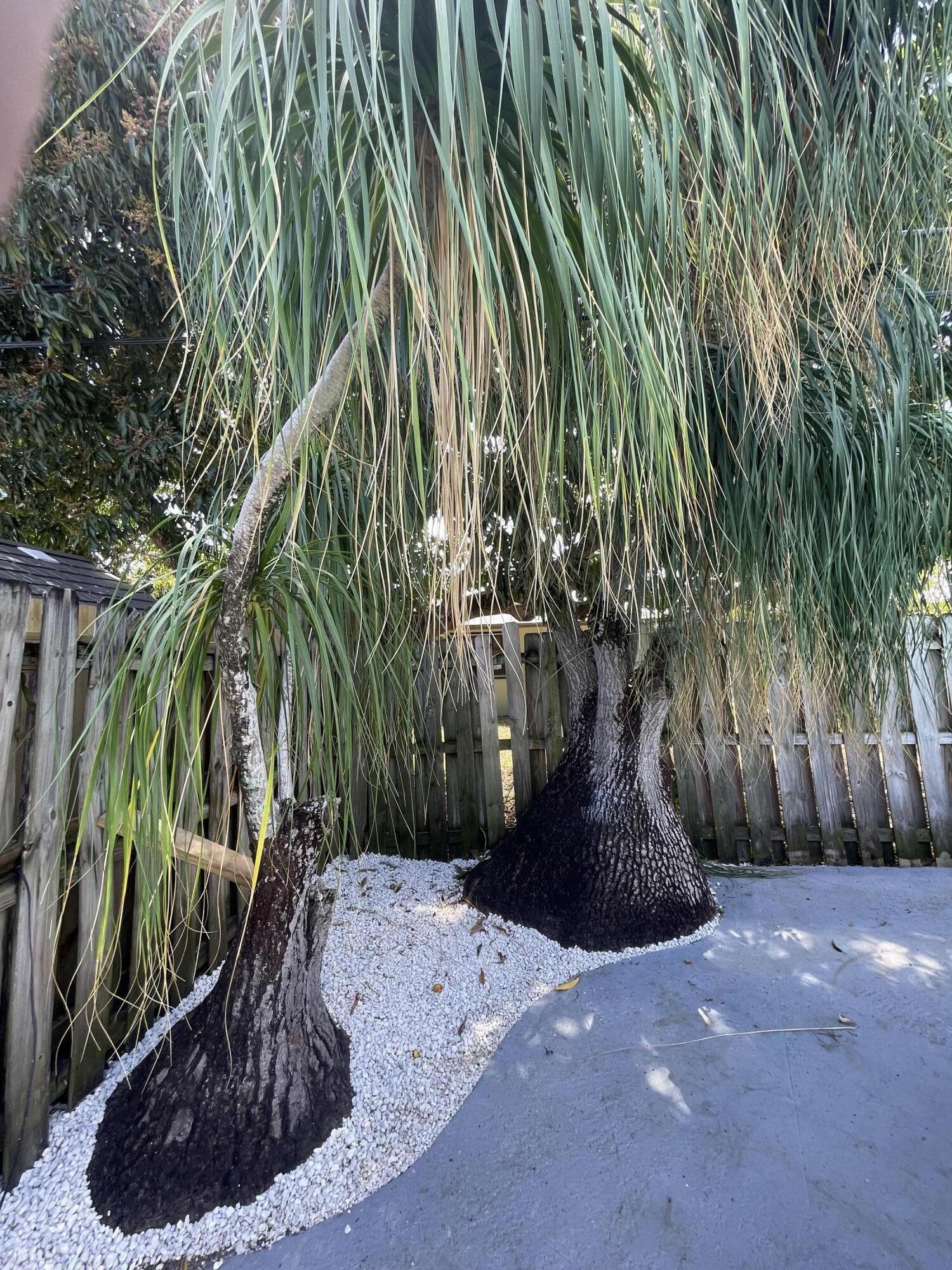 CONNOR ESTATES - Residential Lease