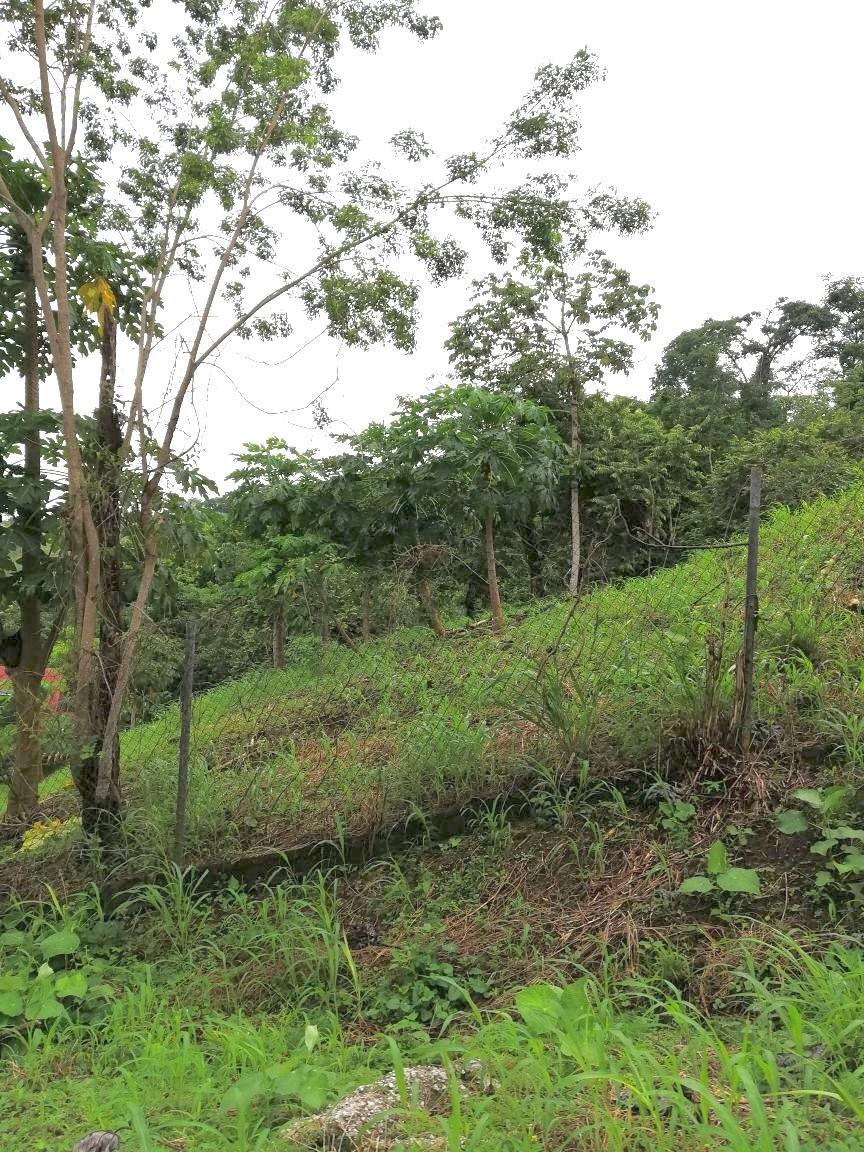 URBANIZACION LAS CUMBRES - Land