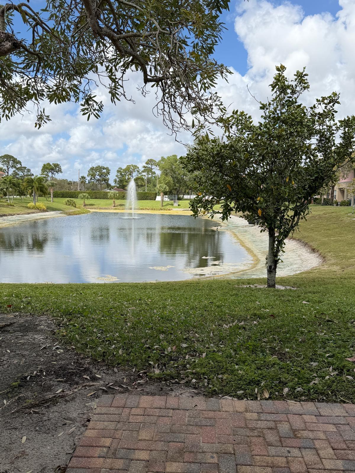 SEMINOLE PALMS - Residential