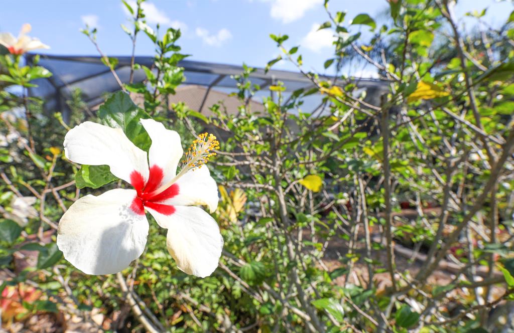 POD 27 AT THE RESERVE MUIRFIELD REPLAT - Residential