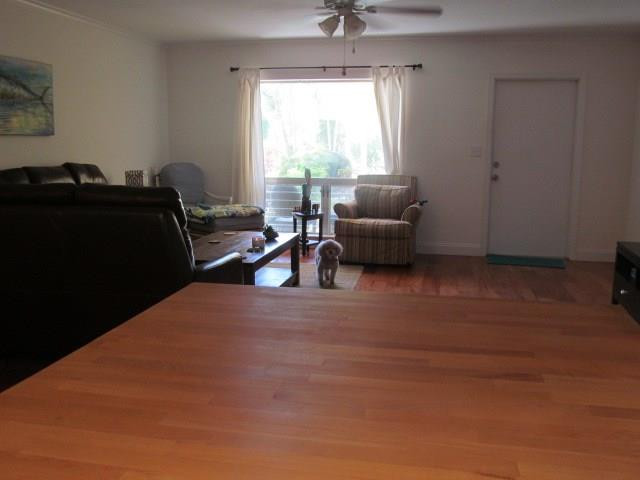 Lighthouse Bay - Residential