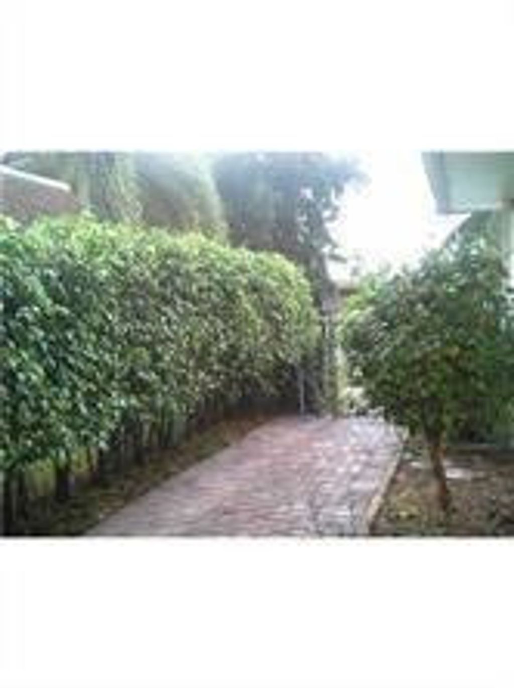 Photo of 6215 SW 37th Court, Davie, FL 33314 (MLS # F10548646)