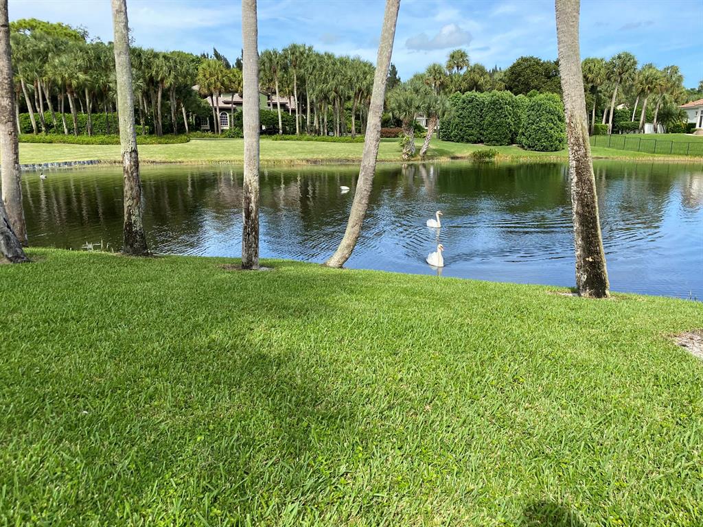 FOXE CHASE - Residential