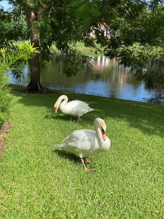 FOXE CHASE - Residential