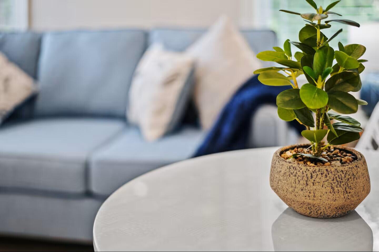 BOYNTON PLACE - Residential Lease