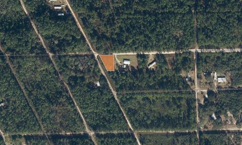 0 Hickory Nut Trail Trail Satsuma FL 32189