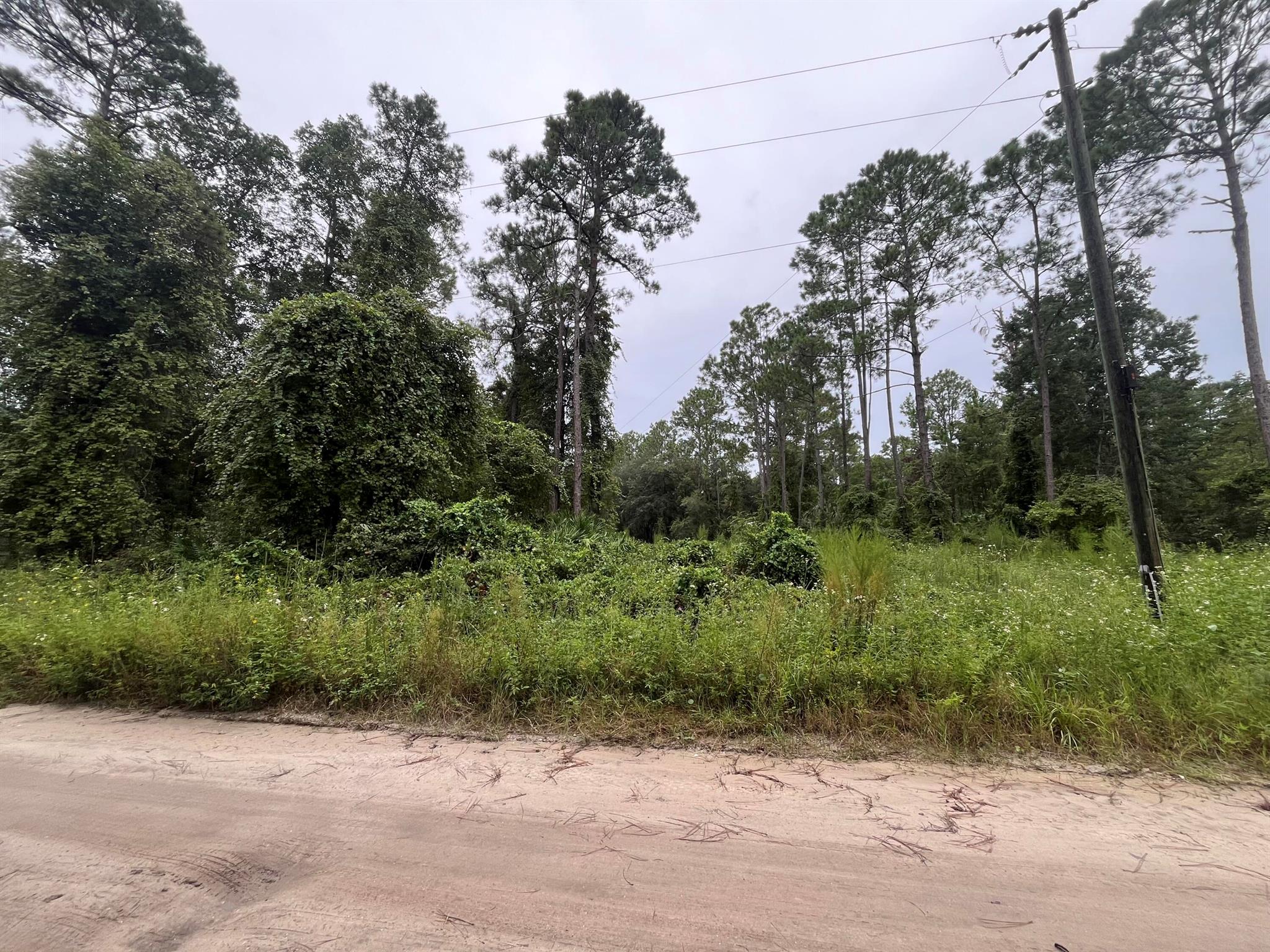 0 Hickory Nut Trail Trail