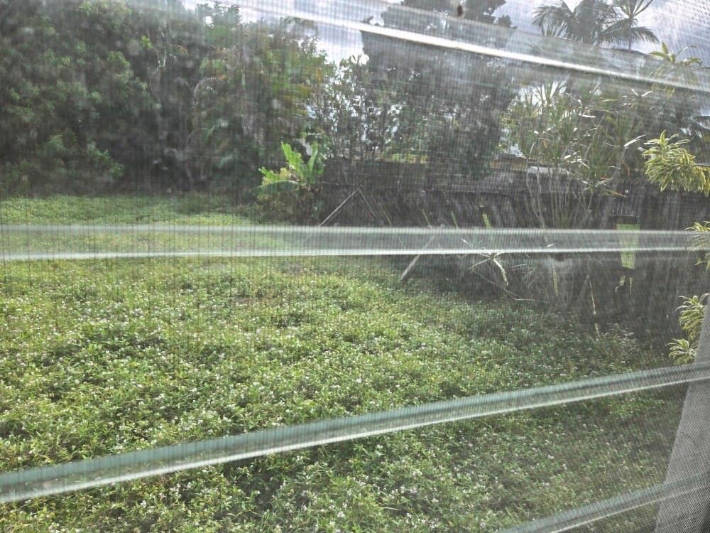 Hollywood Terrace 3-12 B - Residential