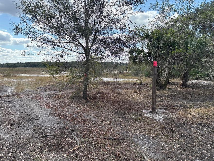 1.26 acres in Viking Estates. Close to the Kissimmee Prairie State Park. Bring your 4 -wheelers. This property is not only ideal for recreational uses such has camping, hunting and shooting, but it’s agricultural as well.
Owner financing available