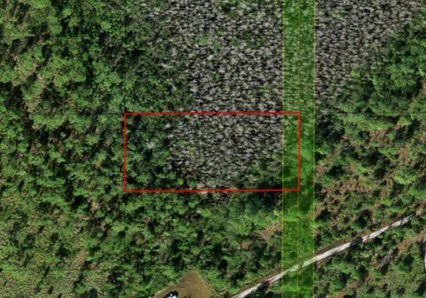 0 Holopaw Groves Road St Cloud FL 34772