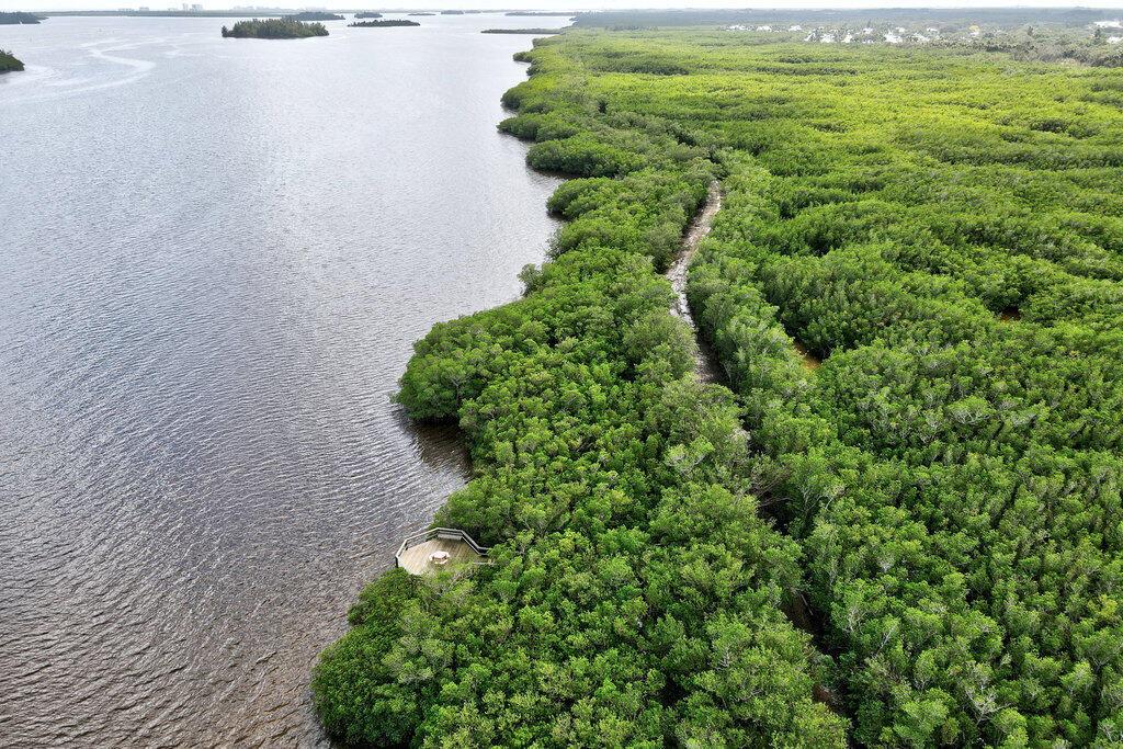 Grove Isle Condo - Residential