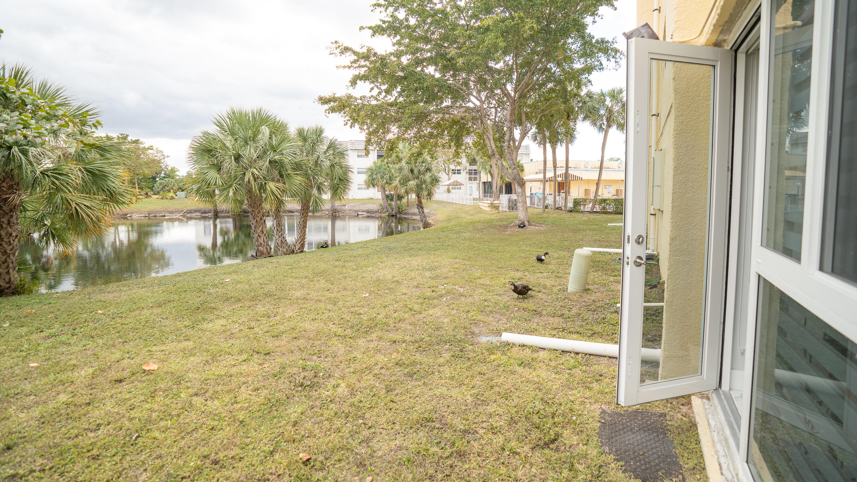 SUNRISE LAKES 40 CONDO - Residential