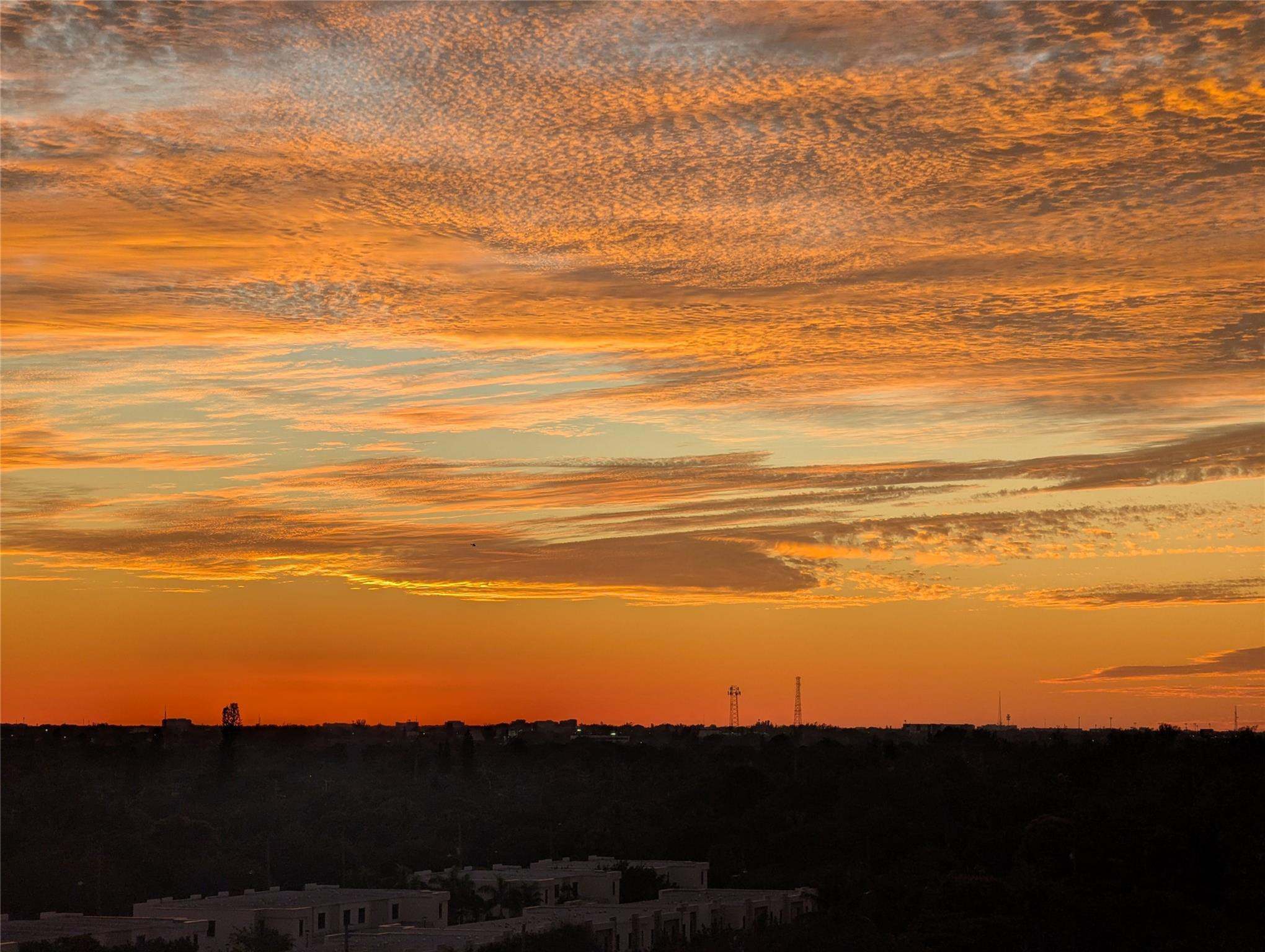 1800 N Andrews Avenue 10G