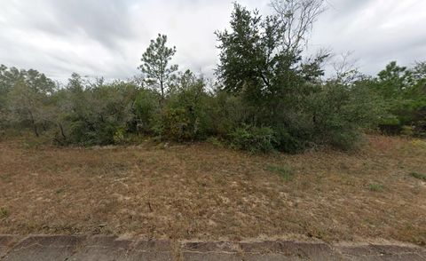 Tbd Newmark, #24 Avenue Chipley FL 32428