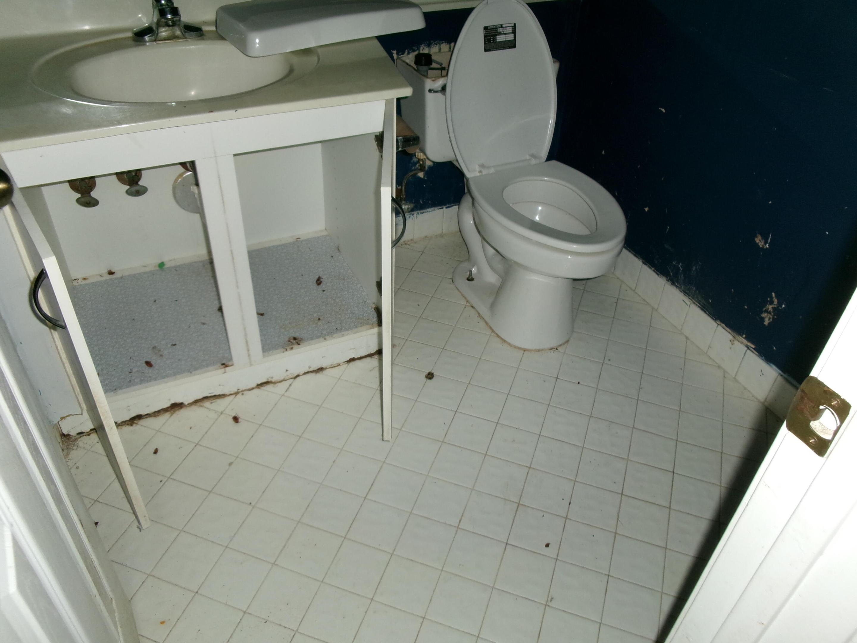 SECTOR 4 - Residential