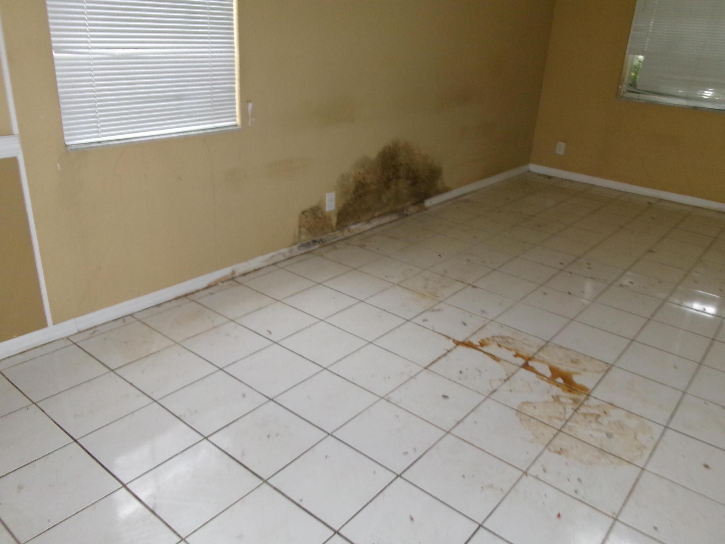 SECTOR 4 - Residential