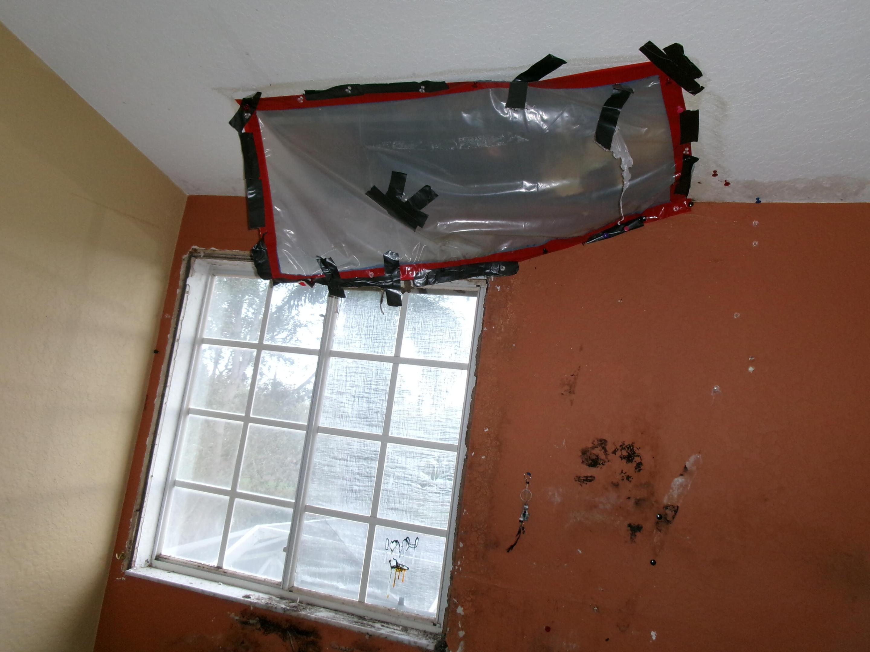 SECTOR 4 - Residential